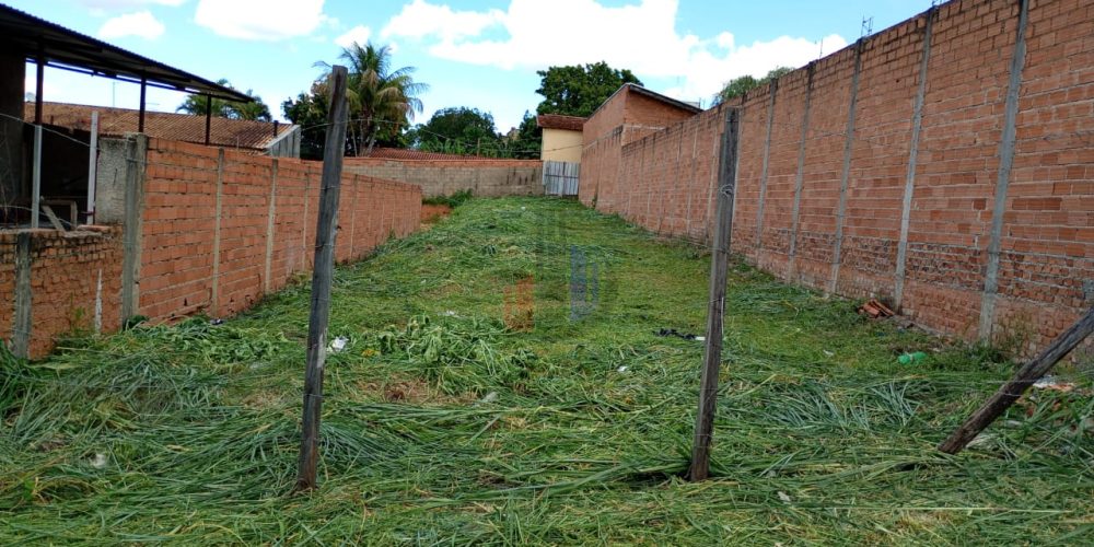 WhatsApp Image 2026-01-13 at 14.42.21 (1)