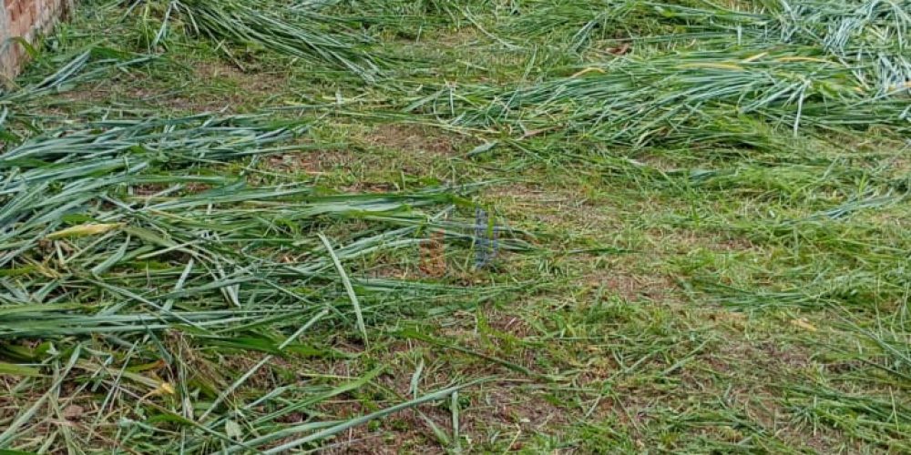 WhatsApp Image 2026-01-13 at 14.42.21