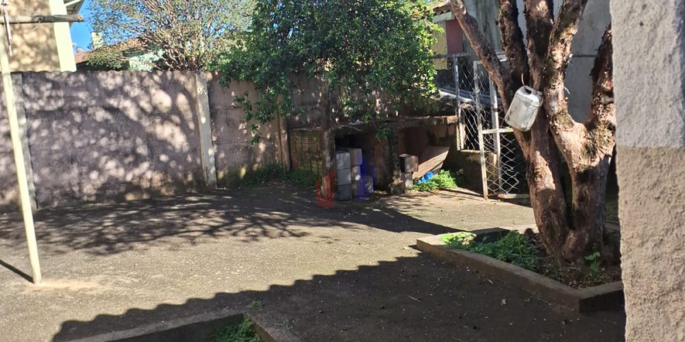 WhatsApp Image 2026-03-27 at 14.46.15