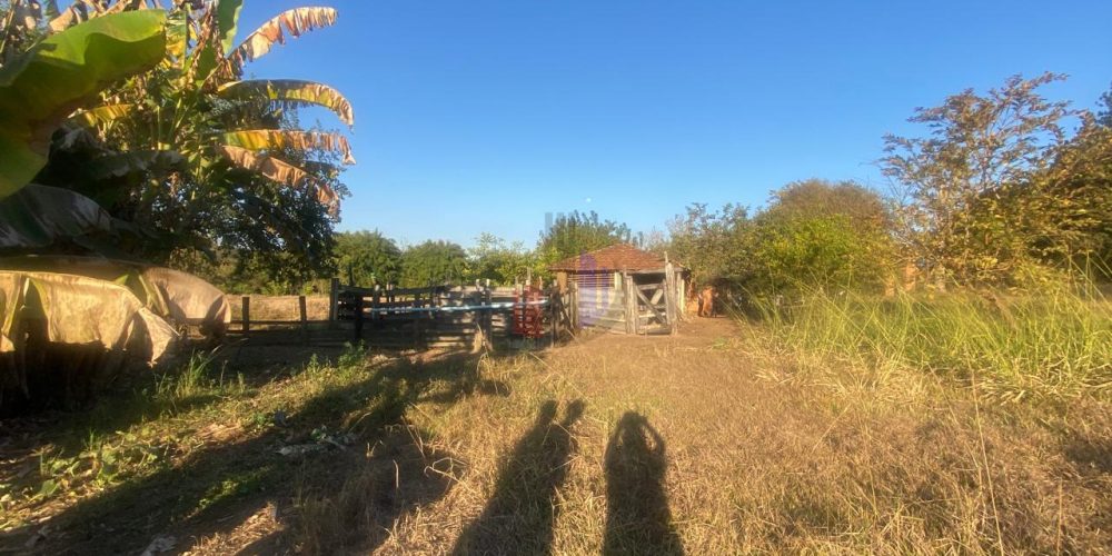 WhatsApp Image 2026-03-31 at 14.31.57 (1)