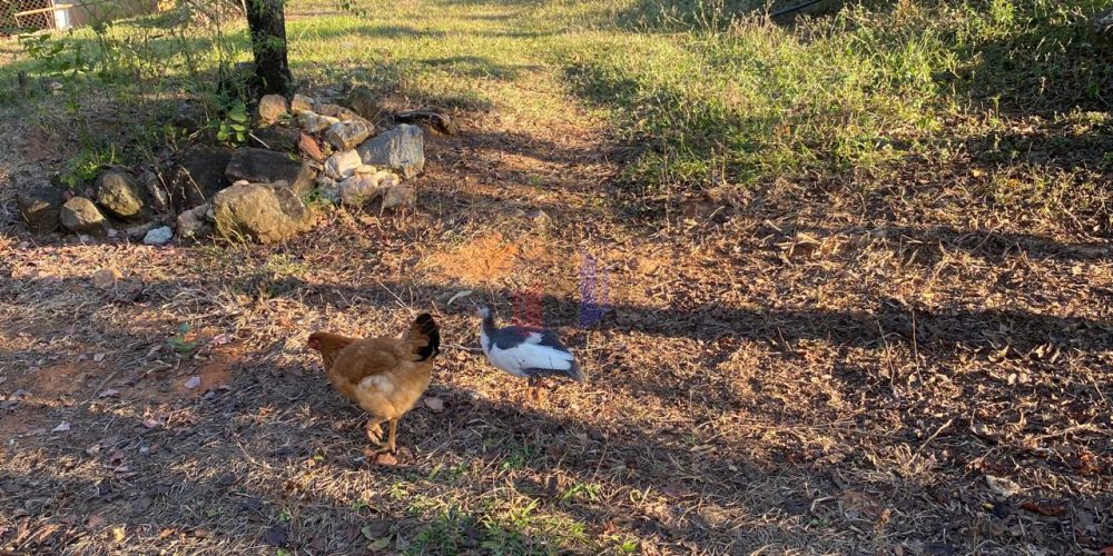 WhatsApp Image 2026-03-31 at 14.31.57