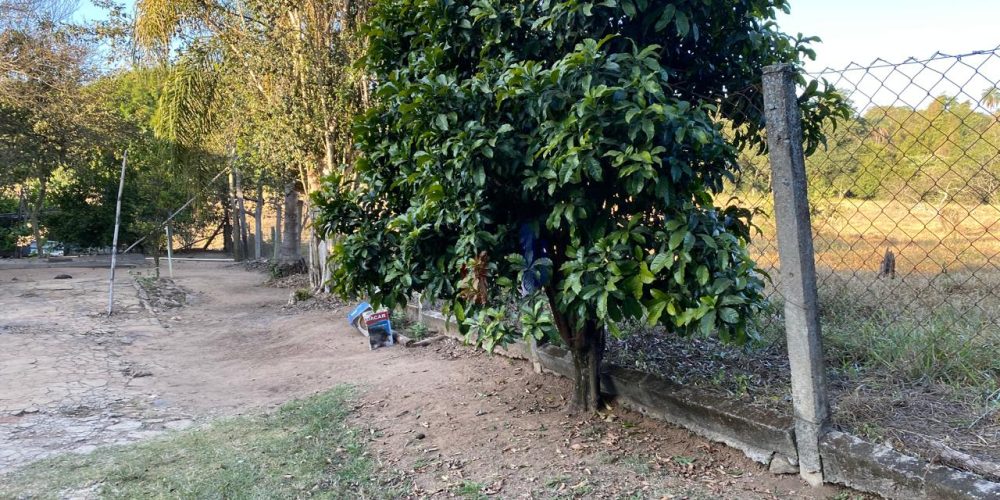 WhatsApp Image 2026-03-31 at 14.31.58 (1)