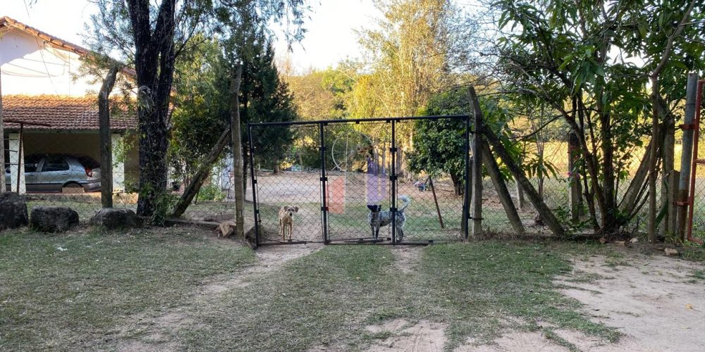 WhatsApp Image 2026-03-31 at 14.31.58 (2)